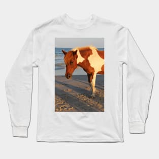 Assateague Beach Ponies - series - 07 Long Sleeve T-Shirt